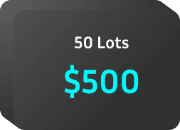 Fifty Lots