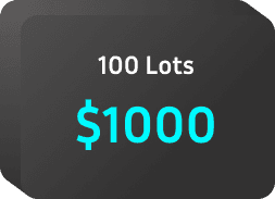 Hundred Lots